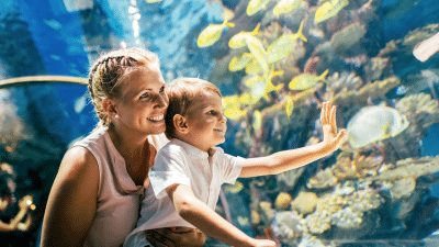 Marine Park Tickets + Buffet Lunch
