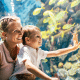 Marine Park Bangkok Tickets