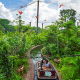River Safari Ride
