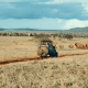 Safari World