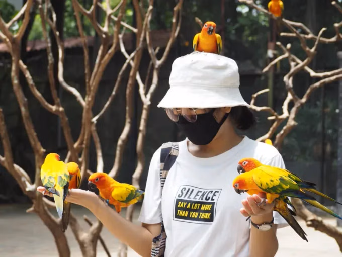 Entradas para Safari World Bangkok