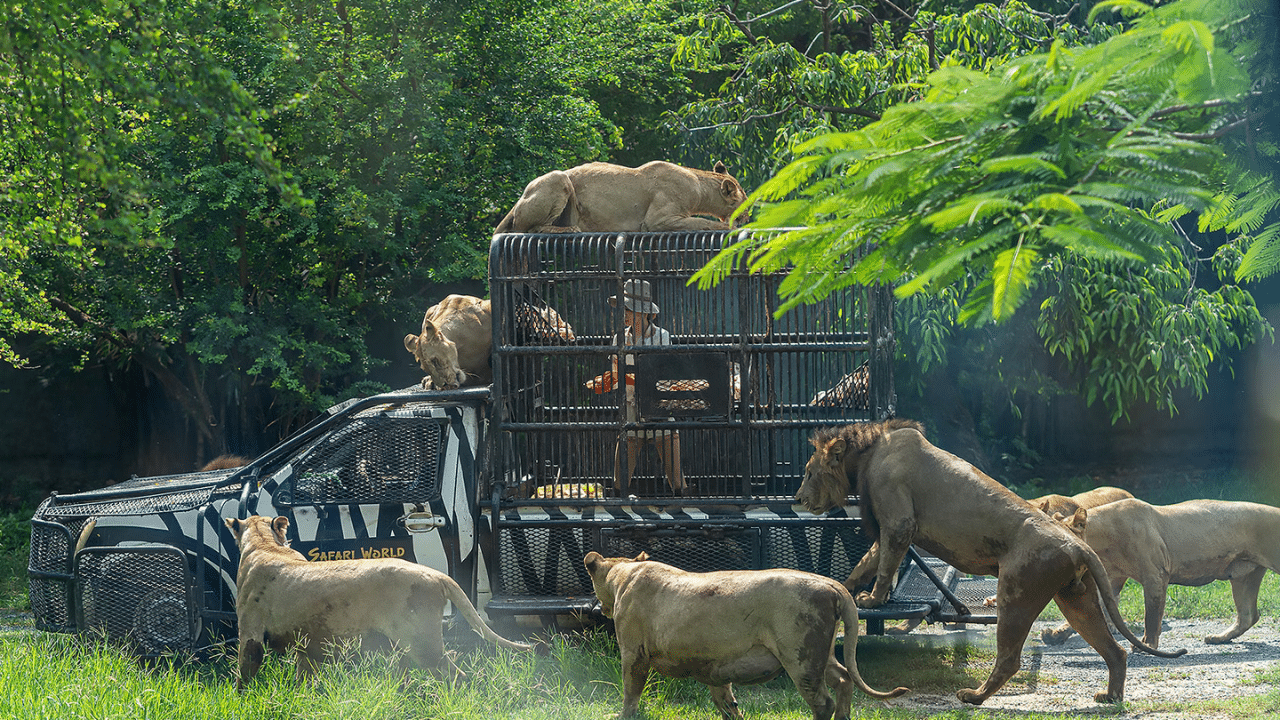 Safari World Bangkok