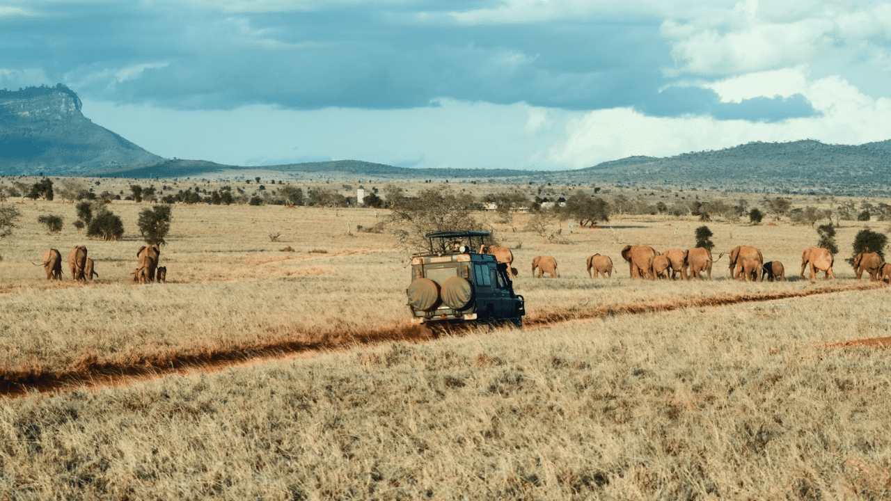 Safari World