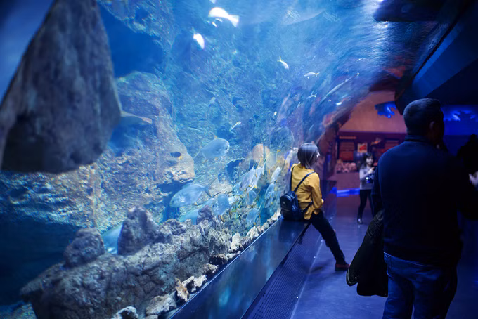 Marine Park Aquarium