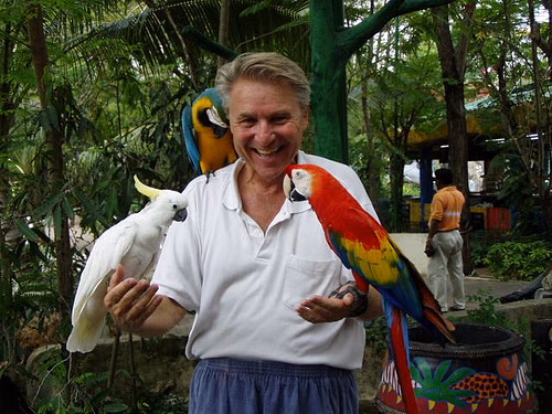 Bird Aviary