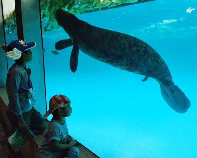 Under the Sea at Marine World