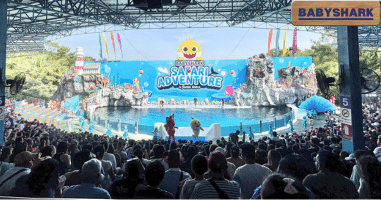 Dolphin Show