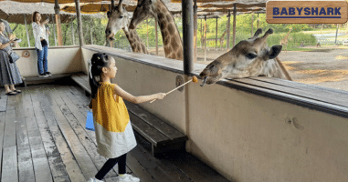 Pinkfong’s Best Friend – Giraffe