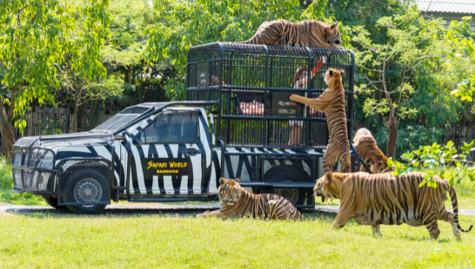 Exclusive Wildlife Encounters