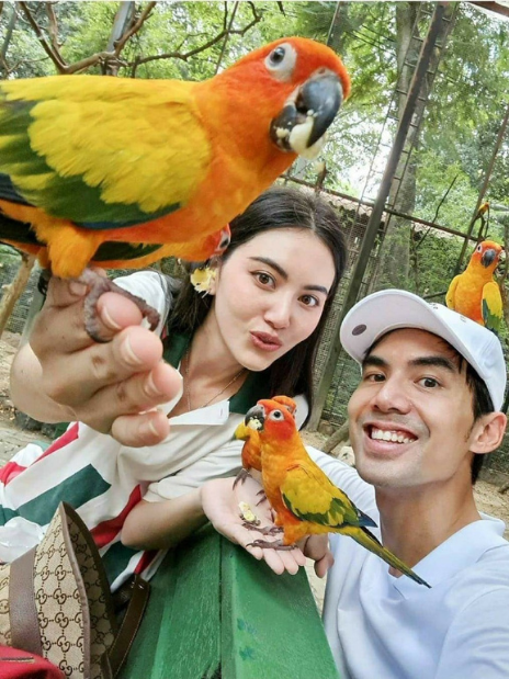 Bird Show