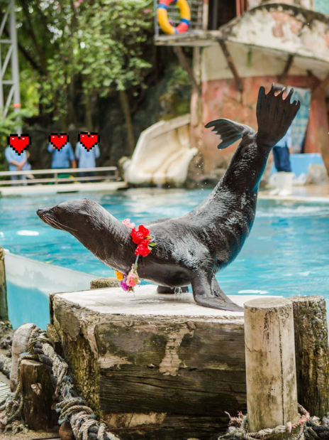 Marine Park Bangkok Tickets