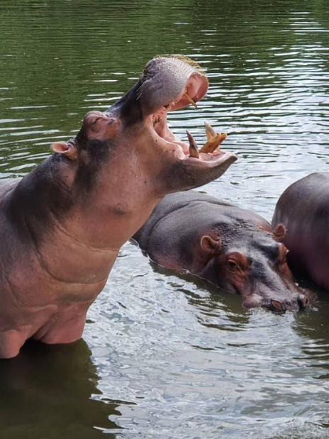 Safari World Bangkok