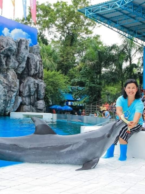 Marine Park Tickets