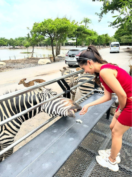 Safari World