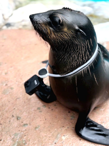 Marine Park Tickets